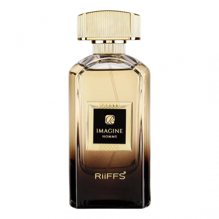 Imagine Noire 100ml - Extract de Parfum, barbati [1]