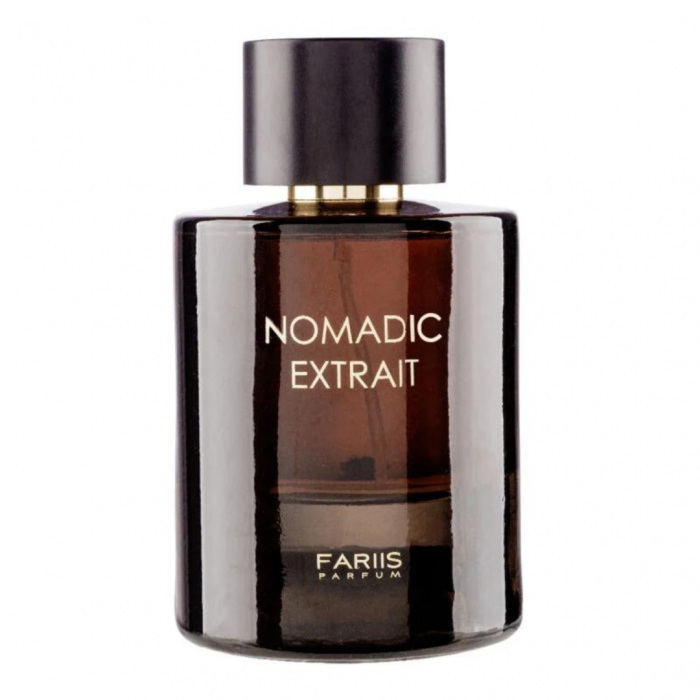 Nomadic Extrait 100ml - Apa de Parfum, barbati [1]