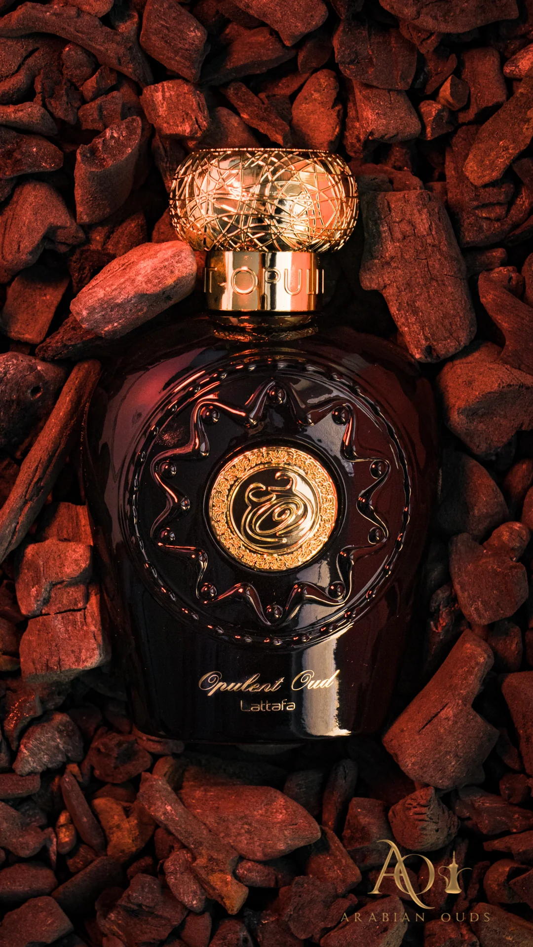 Opulent Oud 100ml - Apa de Parfum, unisex [8]