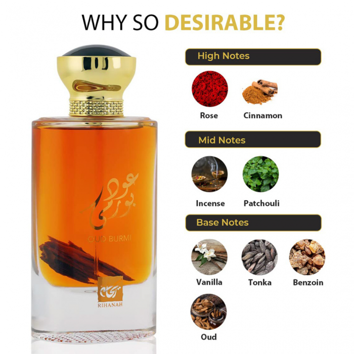 Oud Burmi 100ml - Apa de Parfum, unisex [4]