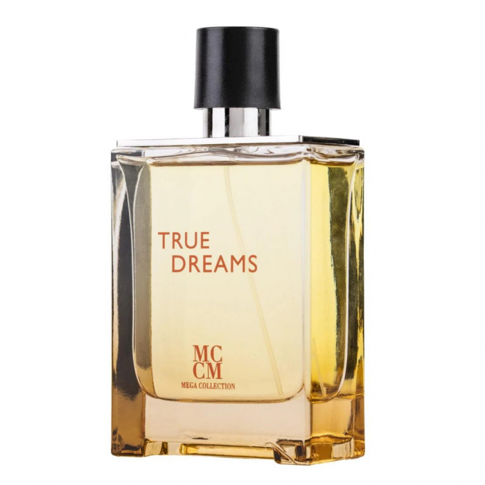 True Dreams 100ml - Apa de Parfum, barbati [2]