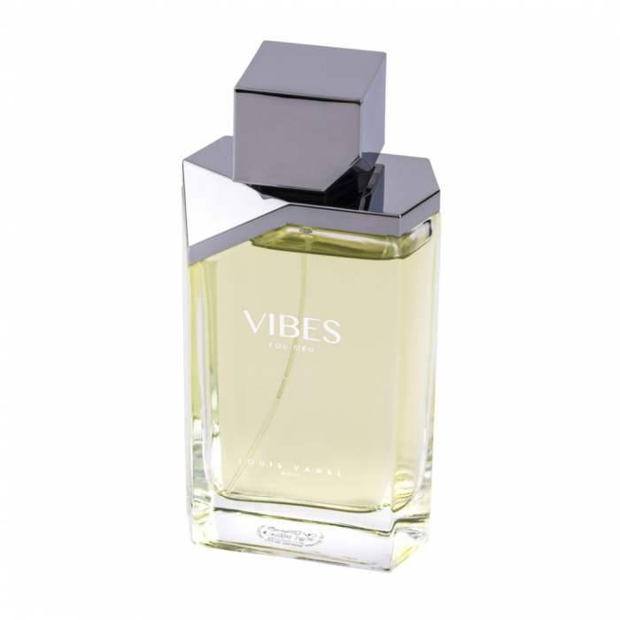 Vibes for Men 100ml - Apa de Toaleta, barbati [3]