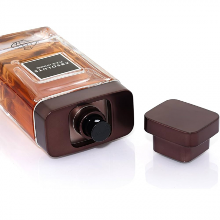 Absolute Pour Homme 100ml - Apa de Parfum, barbati [2]