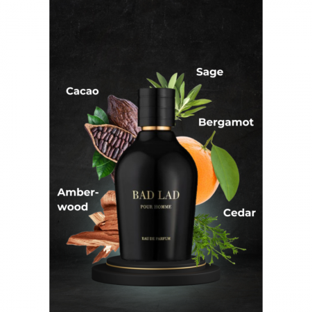Bad Lad Pour Homme 100ml - Apa de Parfum, barbati [4]