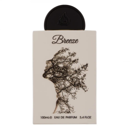 Breeze 100ml - Apa de Parfum, unisex [1]