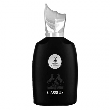 Cassius 100ml - Apa de Parfum, barbati