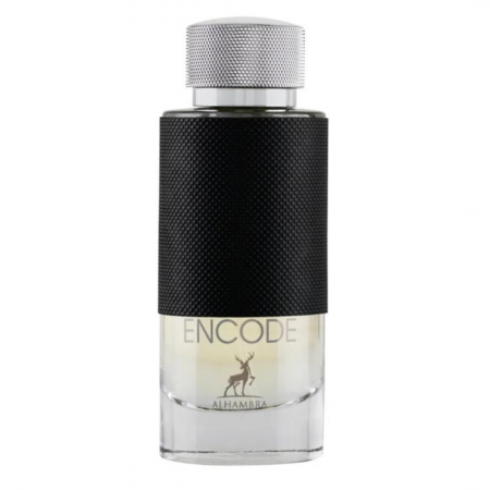 Encode 100ml - Apa de Parfum, barbati