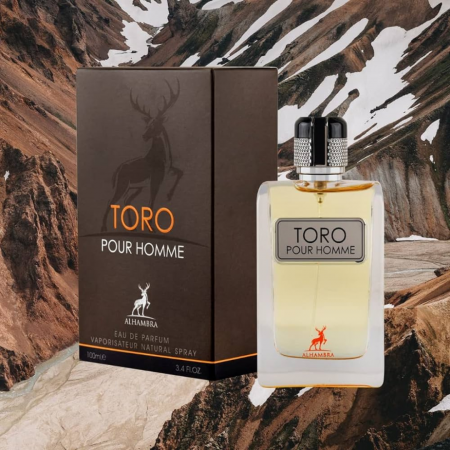 Toro Pour Homme 100ml - Apa de Parfum, barbati [4]