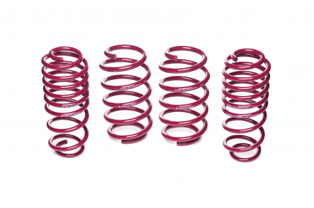 Arcuri sport Fiat - Arcuri sport Fiat Bravo Tip 198 30 / 40 mm