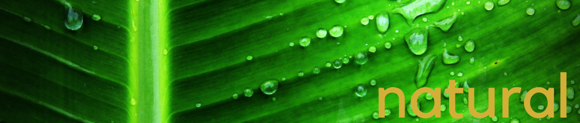 Banner Natural