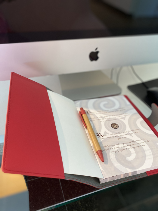 Agenda cu husa pentru agenda din P.U. rosu picata manual [2]