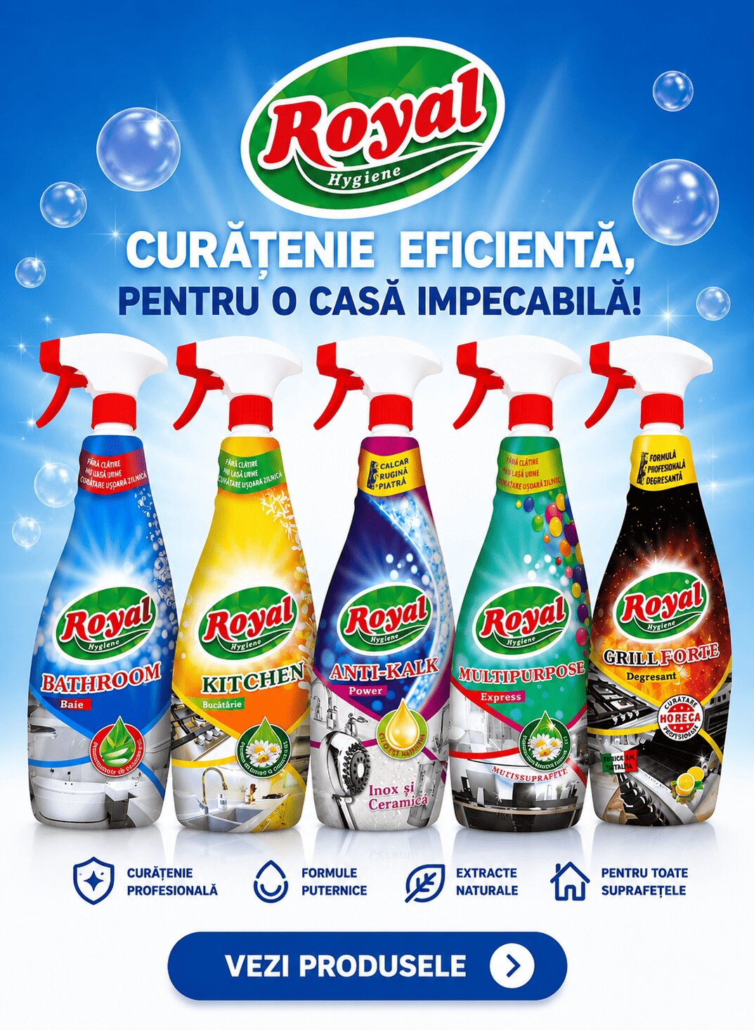 Royal Hygiene - Solutii pentru o curatenie impecabila