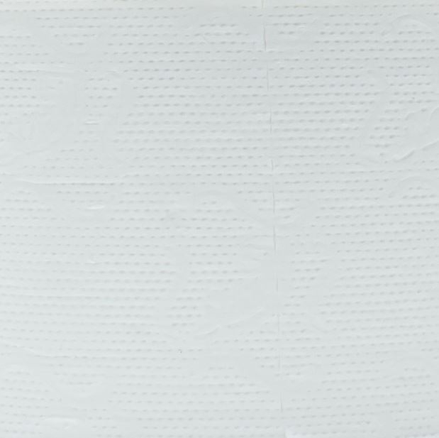 Rola Hartie igienica pentru dispenser cu derulare centrala, mini jumbo, 2 straturi, alb, 100% celuloza [2]