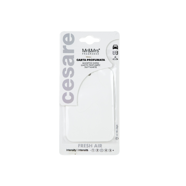 Cesare Card Fresh Air [2]