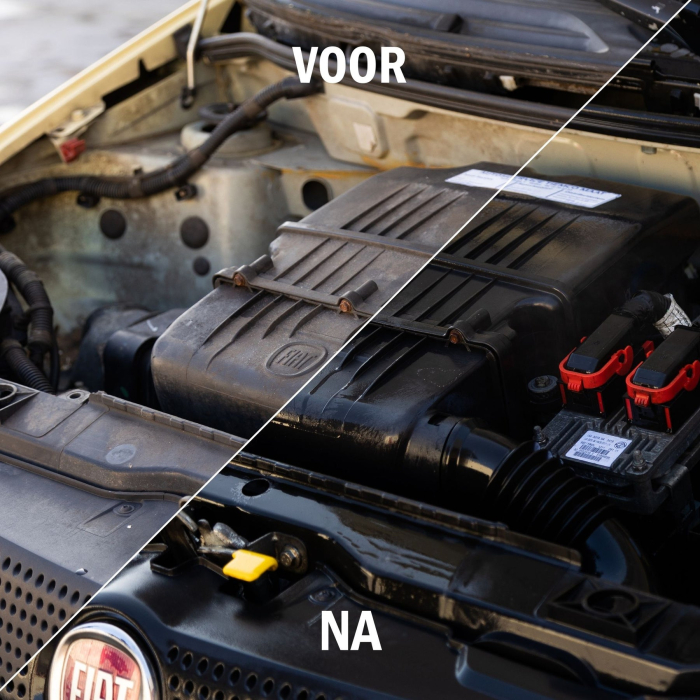 Engine Wash 500ml with sprayer [3]