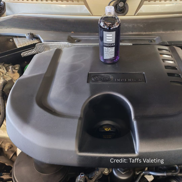 Ewocar TT-Seal 500 ml – Dressing premium pentru plastice exterioare și anvelope [6]