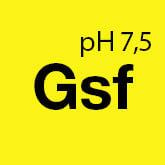 Koch Chemie Gentle Snow Foam Spuma Activa PH Neutru [5]