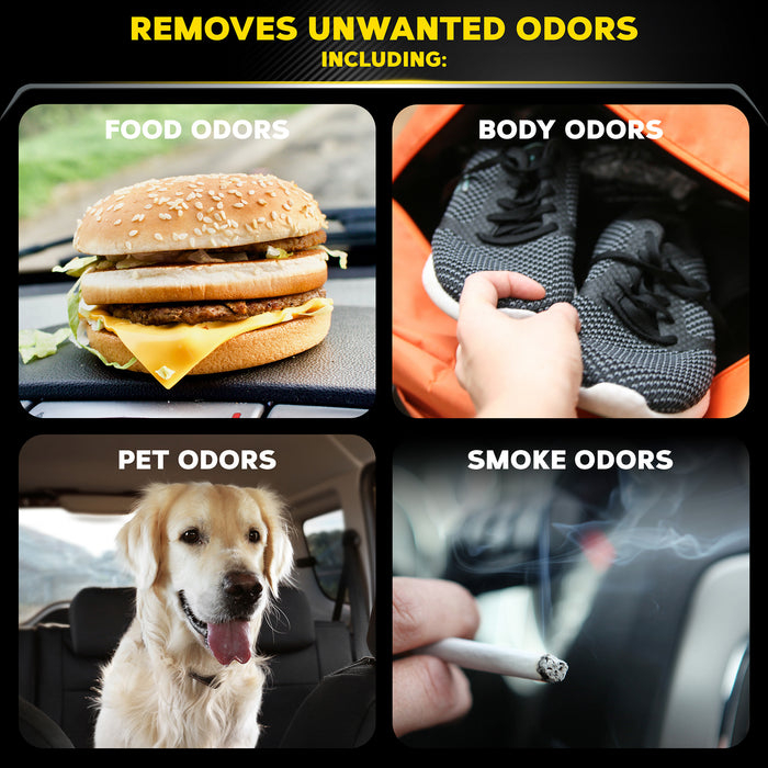 Meguiar’s Whole Car Air Re-Fresher Odor Eliminator – Black Chrome Scent (59 ml / 2 oz) [4]