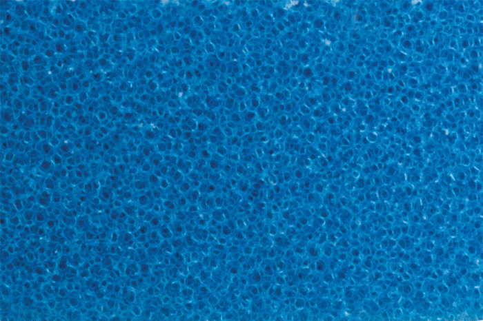 ROTARY COARSE Polishing Foam Pad [2]