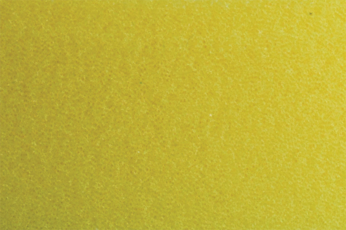 ROTARY FINE Polishing Foam Pad [2]