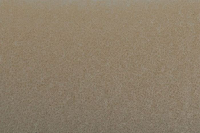 ROTARY ULTRA-FINE Polishing Foam Pad [2]