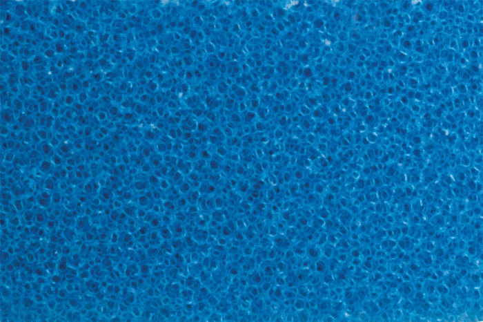 RUPES ROTARY COARSE FOAM PAD – Pad de tăiere agresivă pentru polish rotativ [2]