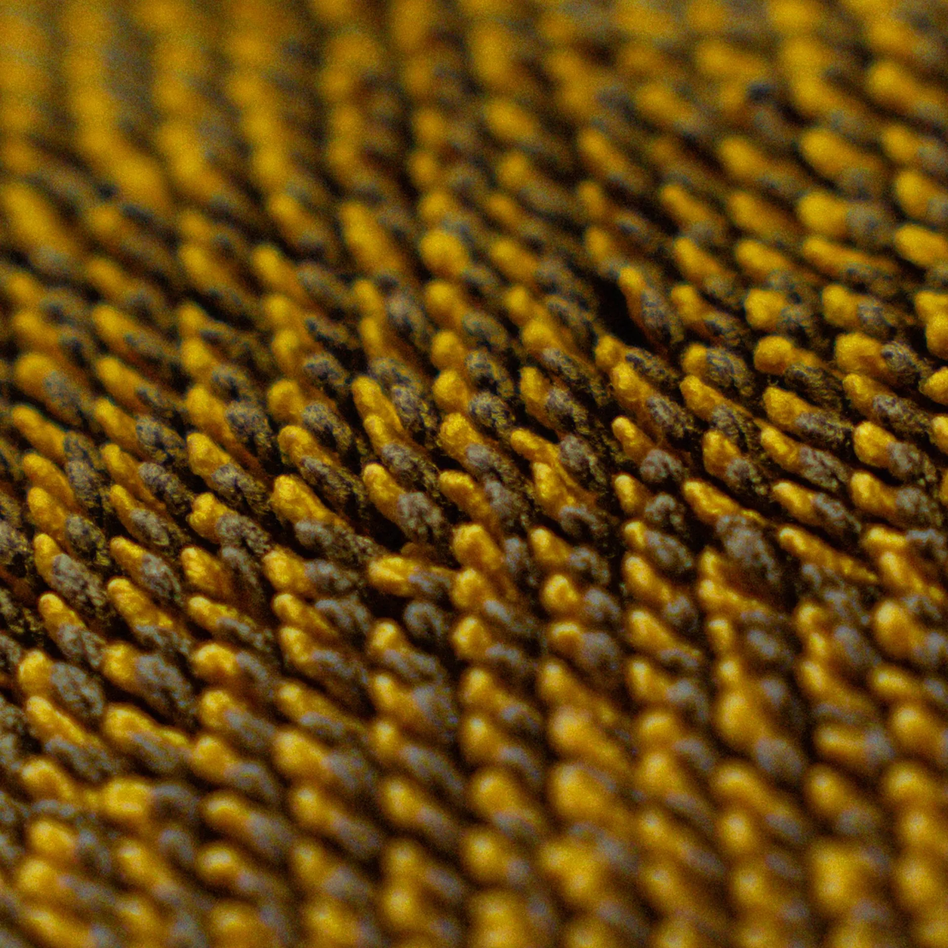 PRINCE Drying Towel [3]