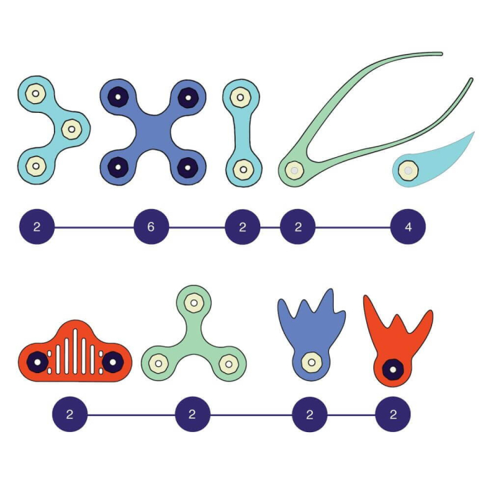 Clixo® joc magnetic de construit - Animalute marine ( 24 piese) [6]