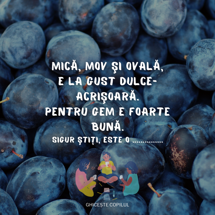 (GRATUIT) Joc "Ghicitori pentru copii și părinți" [4]