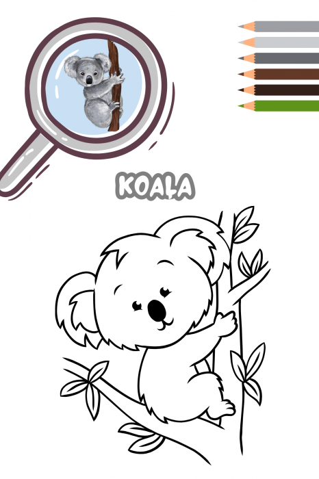(Gratuit) Carte de colorat "The Little Explorer" [4]