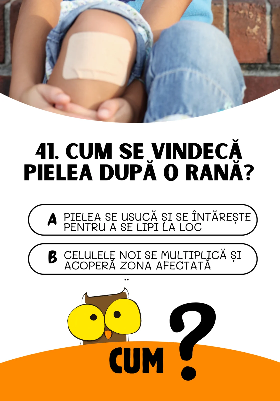 Joc educativ „Cine? Ce? Cum?” – cultura generală pentru copii [5]