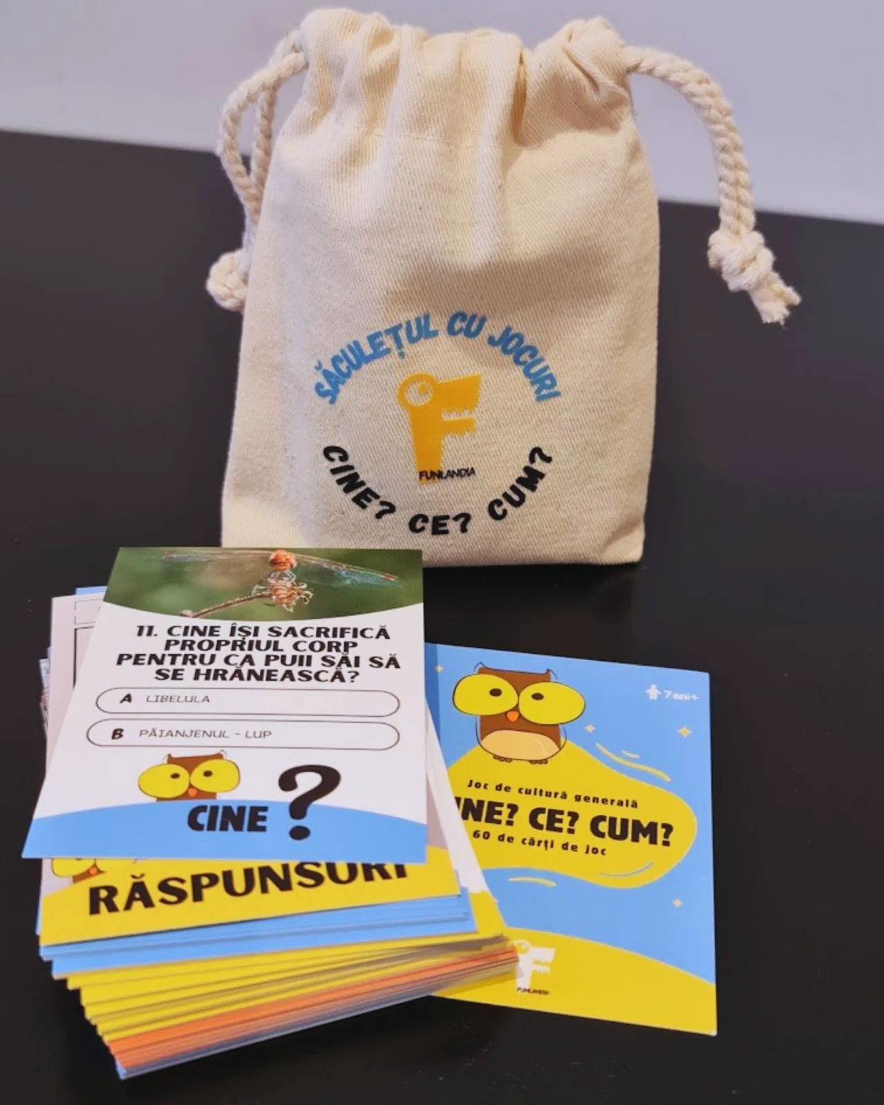 Joc educativ „Cine? Ce? Cum?” – cultura generală pentru copii [2]