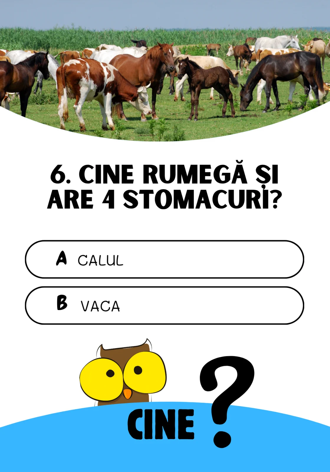 Joc educativ „Cine? Ce? Cum?” – cultura generală pentru copii [6]