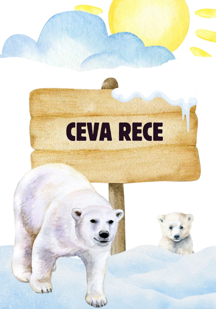 Joc educativ „Găsește sau Numește” [5]