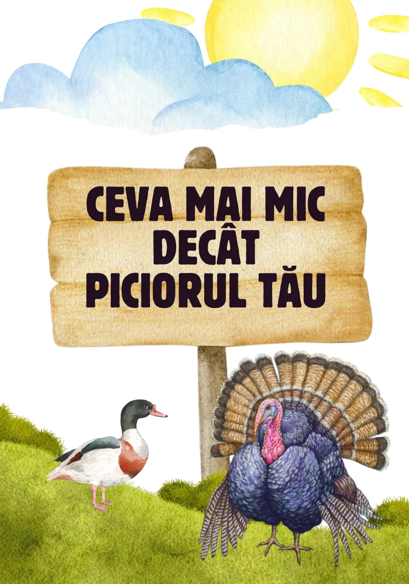 Joc educativ „Găsește sau Numește” [6]