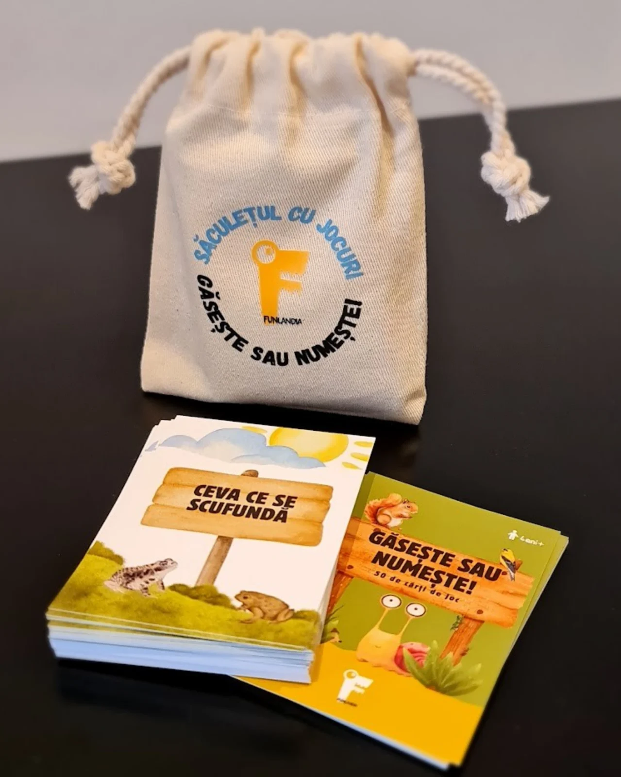 Jucării și activități pentru călătorii - Joc educativ „Găsește sau Numește”