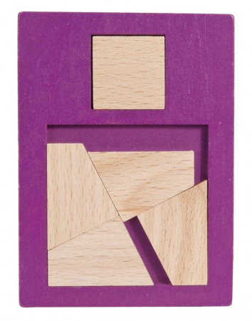 Jocuri de logică - Joc logic IQ puzzle din lemn Extra piesa-1, Fridolin