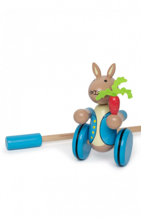 Jucarie de impins Peter Rabbit™, Orange Tree Toys [0]