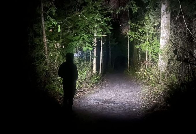 iluminare noaptea in padure