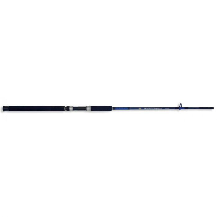 LANSETA LINEAEFFE CASPIAN PRO ROD 2,40 M / 100-250G, 2 BUC [1]