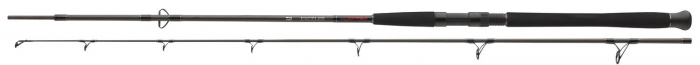 LANSETA DAIWA EXCELER CF SPIN 2,40M, 2 BUC [1]