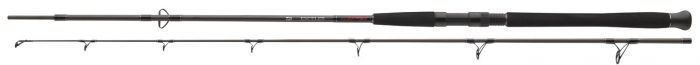 LANSETA DAIWA EXCELER CF SPIN 2,70M/185G, 2 BUC [1]