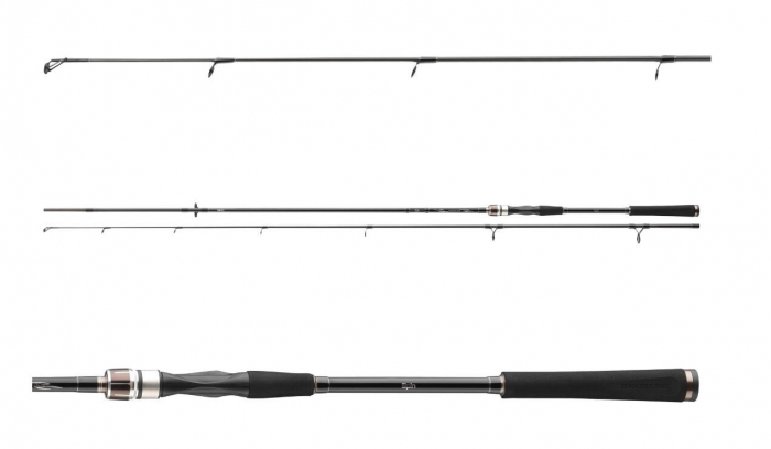 LANSETA DAIWA EXCELER SPIN 2,70M/10-40G [1]