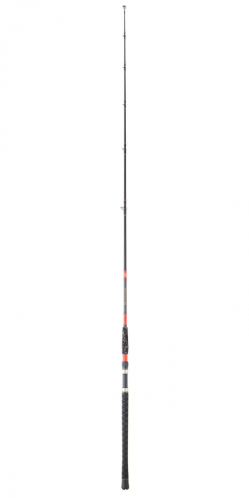 Lanseta Daiwa Megaforce BF 272XH 2.70M, 100-300 g [1]