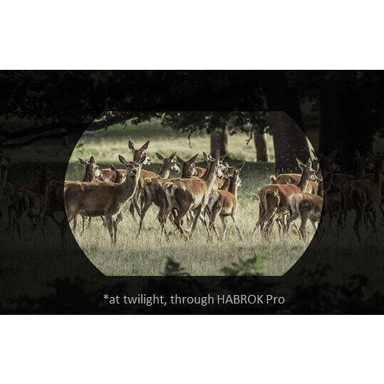 Binoclu cu termoviziune Hikmicro Habrok Pro HX60LS 1920x1080 [6]