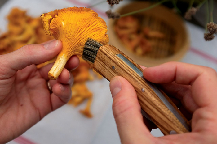 Briceag Baladeo pentru ciuperci Eco029 [2]