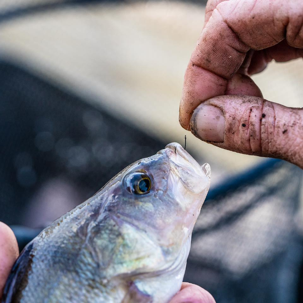 CARLIG KURANKU NR.16 10BUC/PL [4]