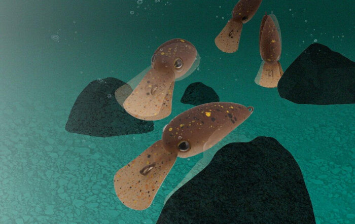 Vobler Jackall Chibi Panicra DR 2.5 cm, 1.4 g shobokure red glow [4]