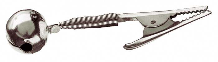 CLOPOTEL SIMPLU CU CLESTE CORMORAN [1]