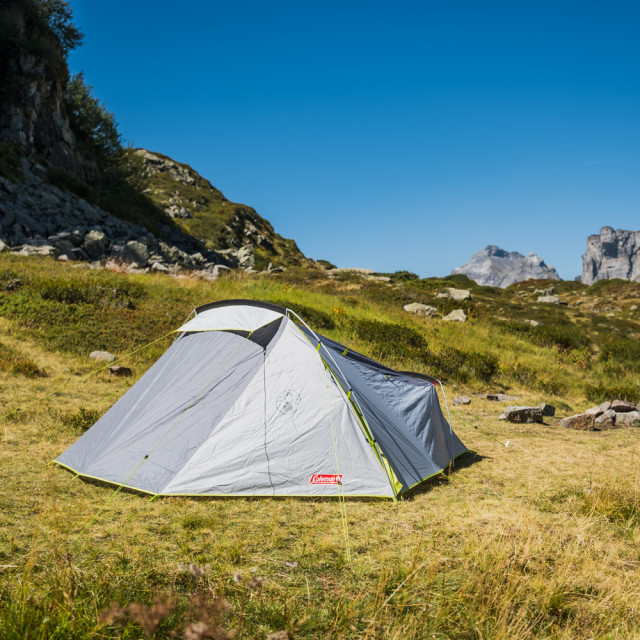 Cort Coleman Cobra 3 [4]